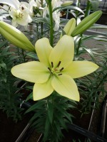 [5067 Gerritzalm No01.JPG]